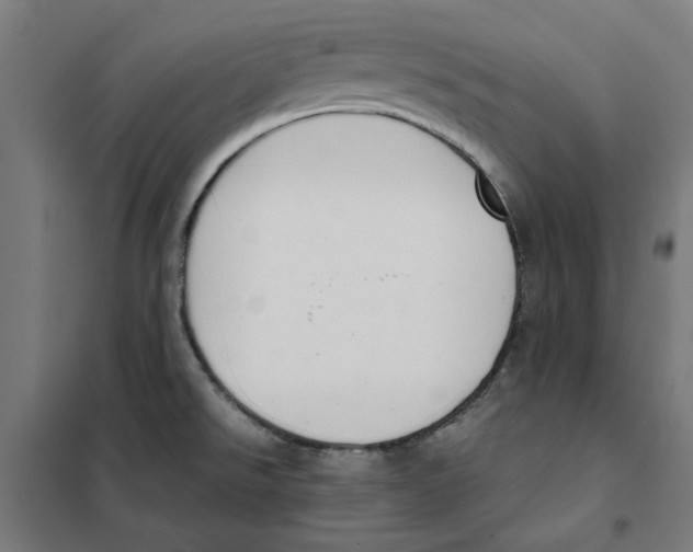 X0000101681526200808071056