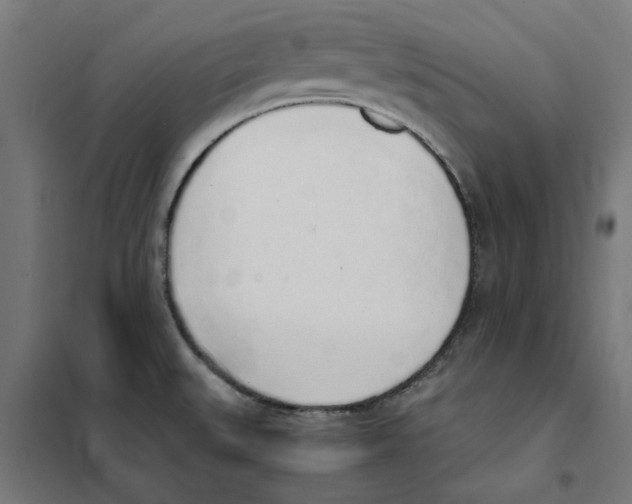 X0000101681527200808071056