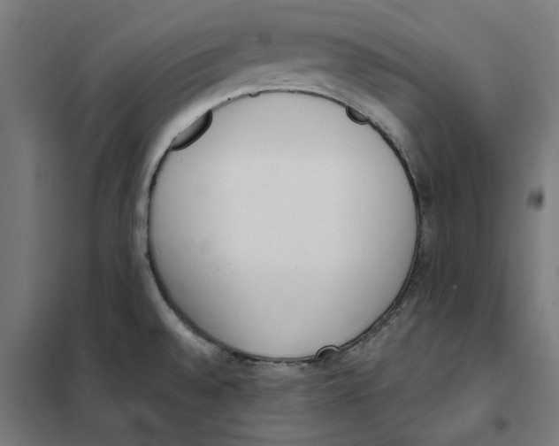 X0000101681528200808071056