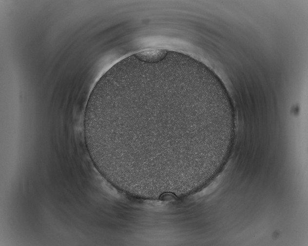 X0000101681529200808071056