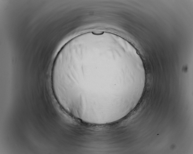 X0000101681530200808071056