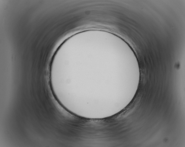 X0000101681531200808071056