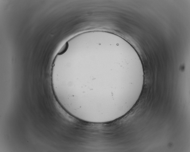 X0000101681532200808071056