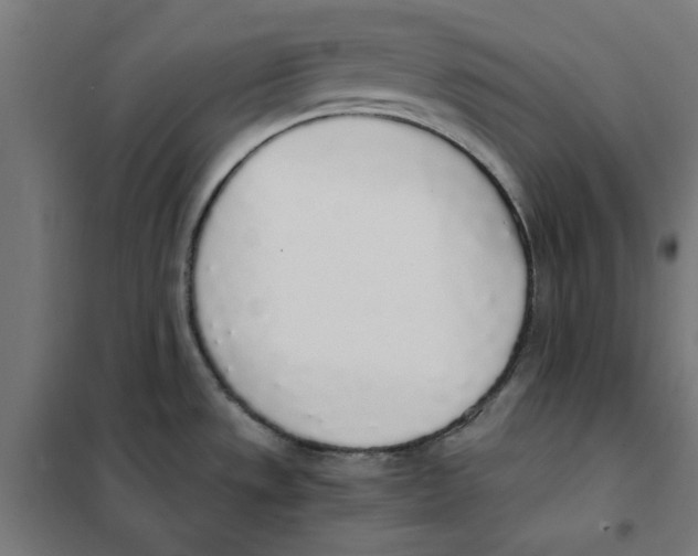 X0000101681533200808071056