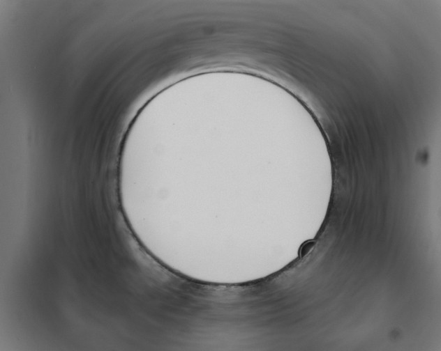 X0000101681534200808071056