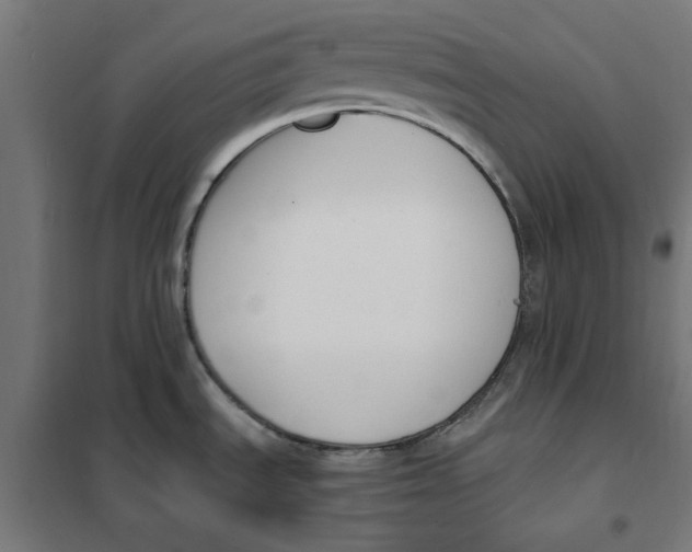 X0000101681535200808071056