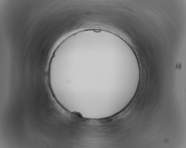 X0000101681536200808071056