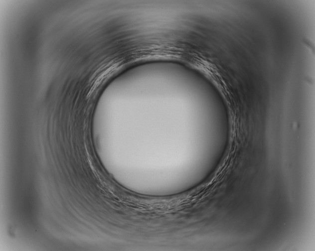 X0000101690001200807101219