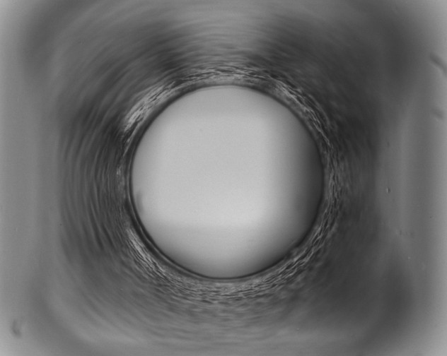 X0000101690002200807101219