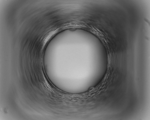 X0000101690003200807101219