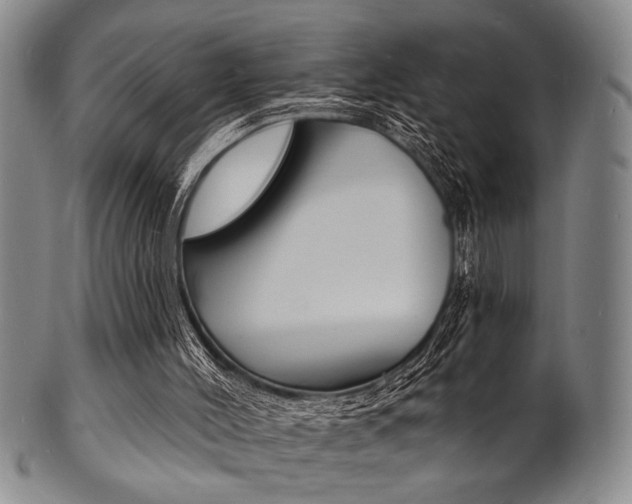 X0000101690004200807101219