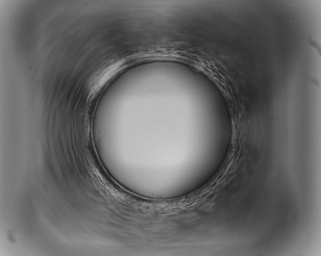 X0000101690005200807101219