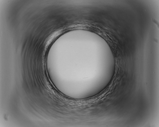 X0000101690006200807101219