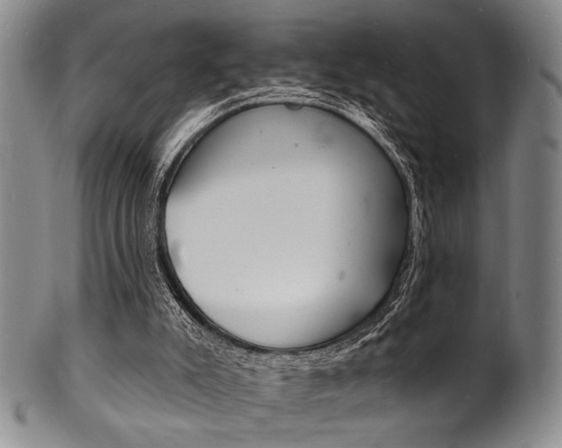 X0000101690007200807101219