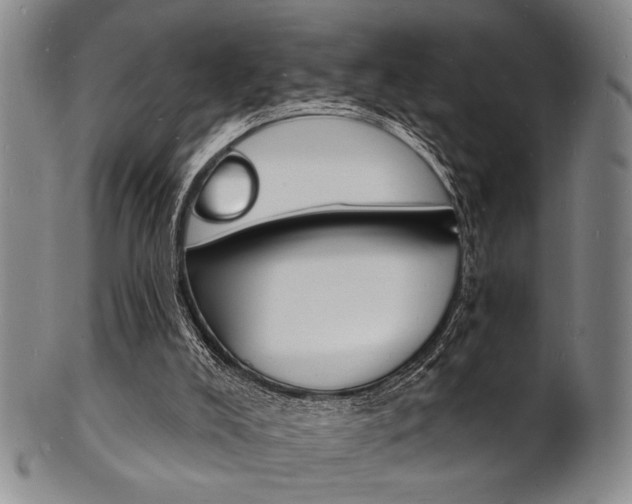 X0000101690008200807101219