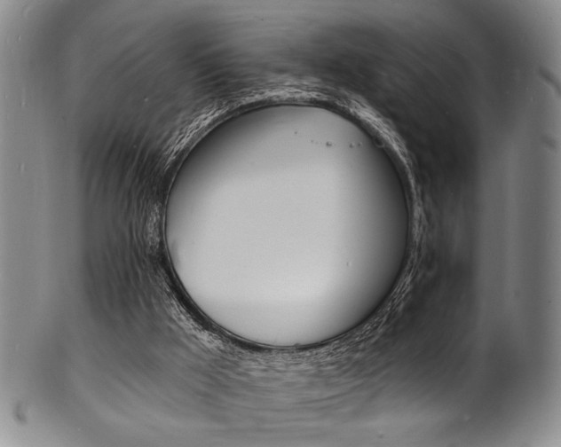 X0000101690009200807101219