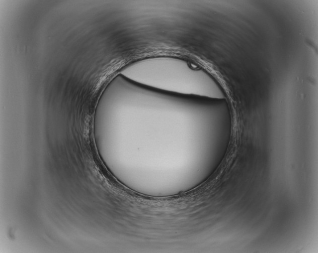 X0000101690010200807101219