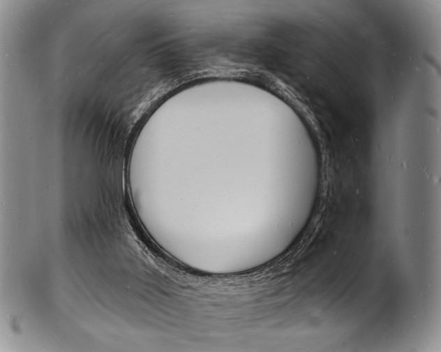 X0000101690011200807101219