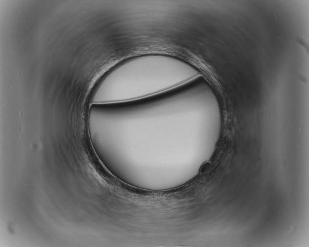 X0000101690012200807101219