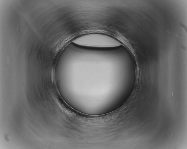 X0000101690013200807101219