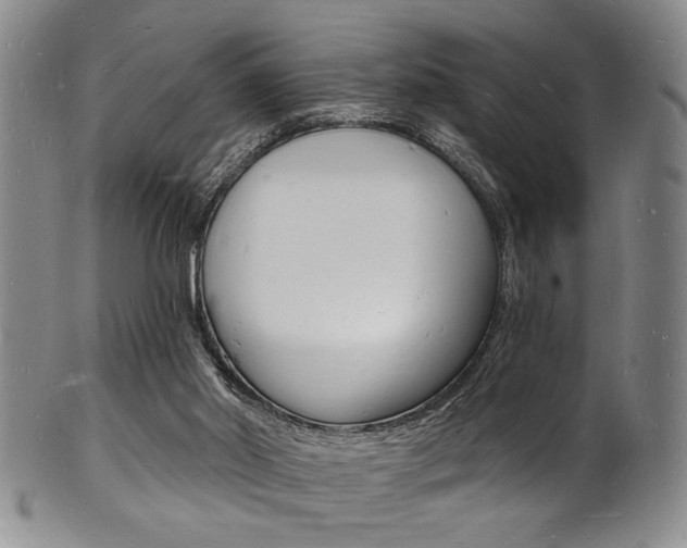 X0000101690014200807101219
