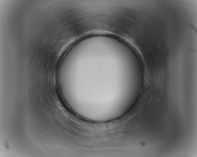 X0000101690015200807101219