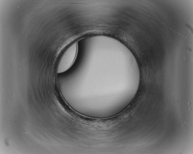 X0000101690016200807101219