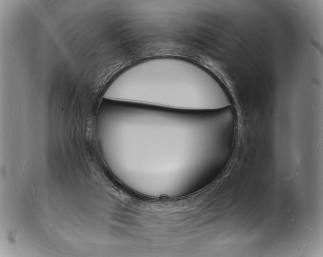 X0000101690017200807101219