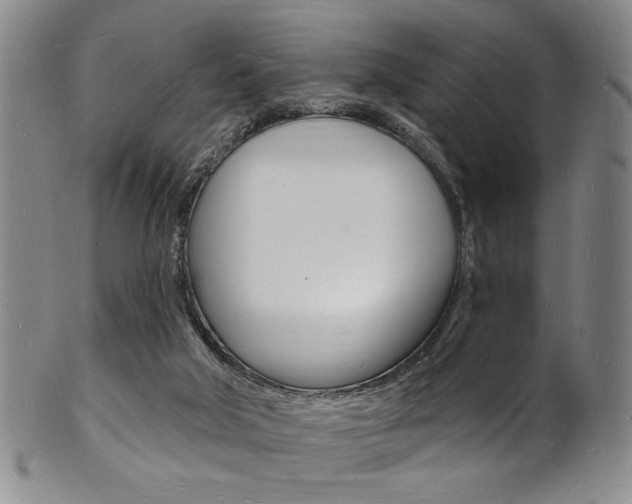 X0000101690018200807101219