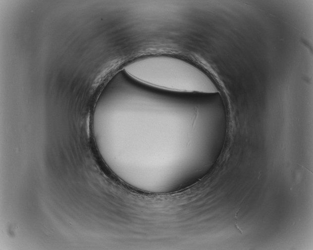 X0000101690019200807101219