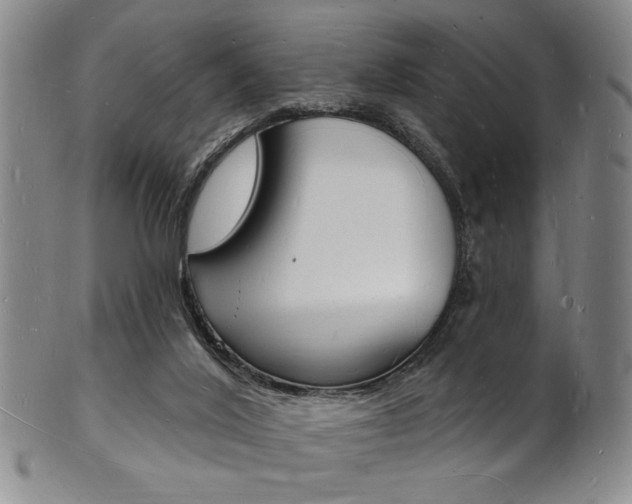 X0000101690020200807101219