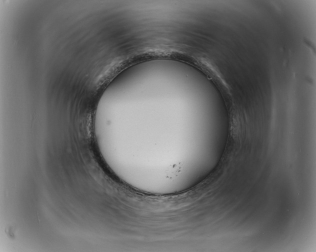X0000101690023200807101219