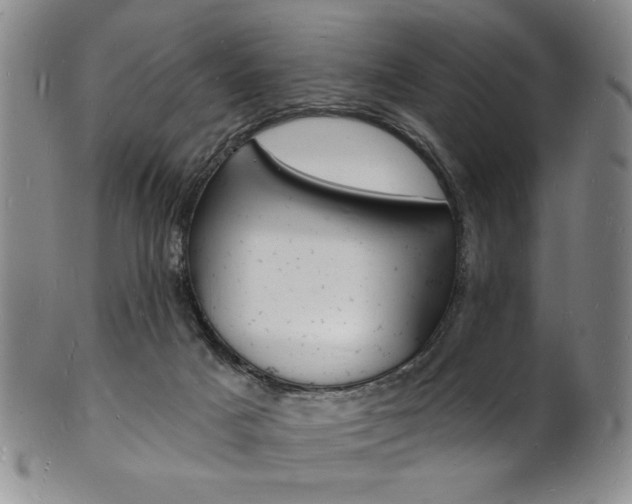 X0000101690025200807101219