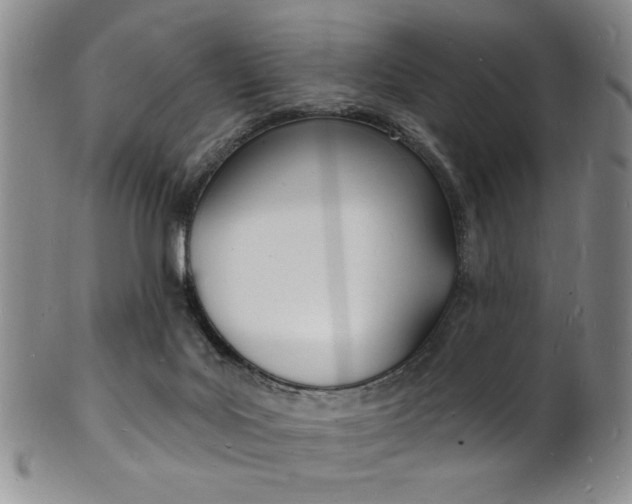 X0000101690027200807101219
