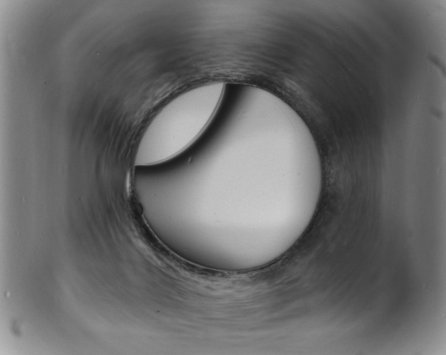 X0000101690028200807101219
