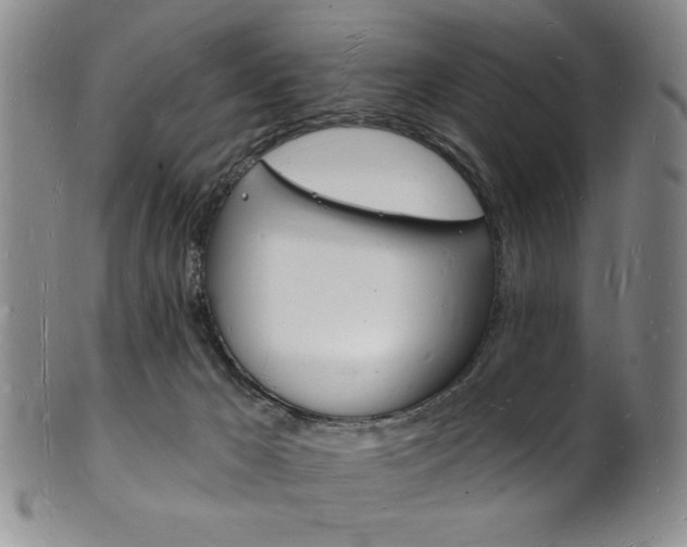 X0000101690029200807101219