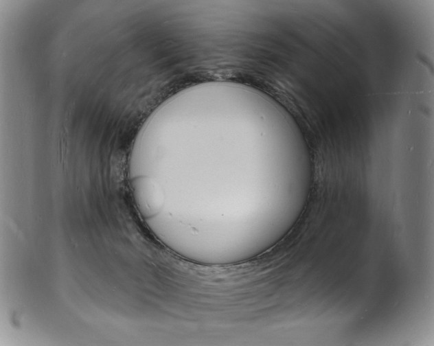 X0000101690030200807101219