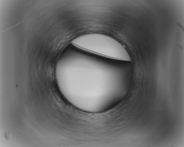 X0000101690031200807101219