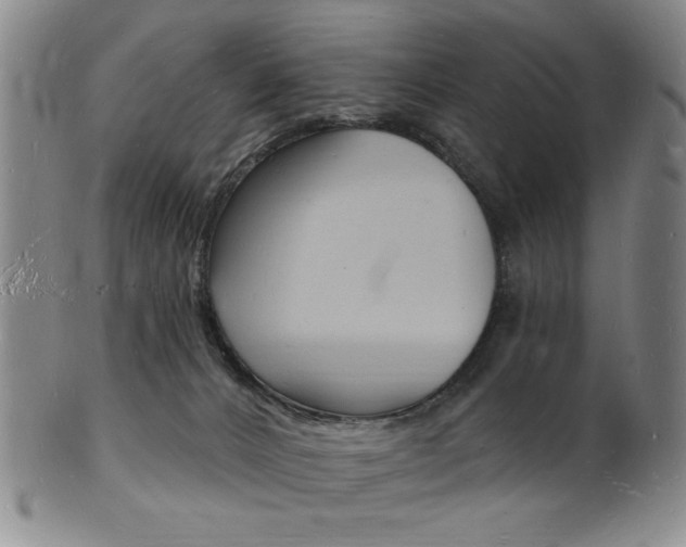 X0000101690032200807101219