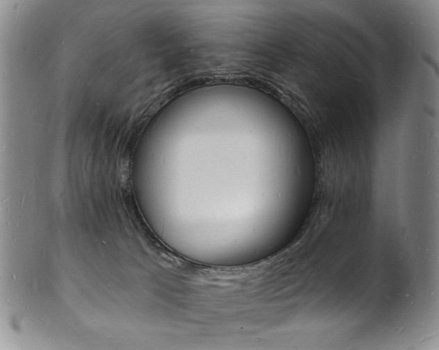 X0000101690033200807101218
