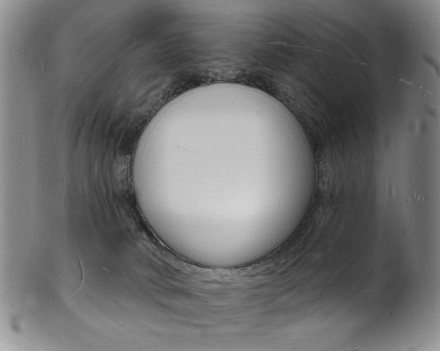 X0000101690034200807101218