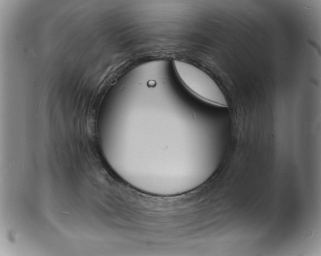 X0000101690035200807101218