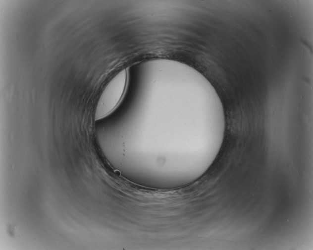 X0000101690036200807101218