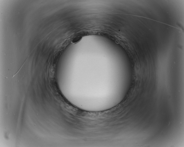 X0000101690037200807101218