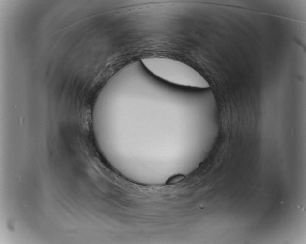 X0000101690038200807101218