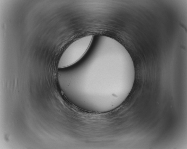 X0000101690040200807101218