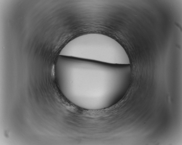 X0000101690041200807101218