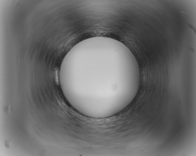 X0000101690042200807101218