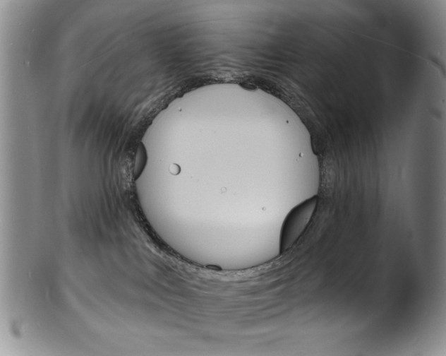 X0000101690043200807101218