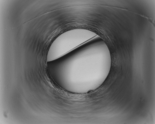 X0000101690044200807101218